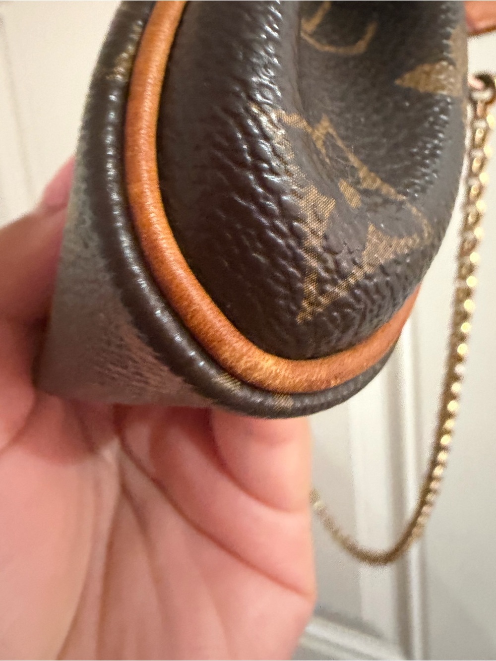 Louis Vuitton Eva Monogram Pochette - Picture 10 of 13